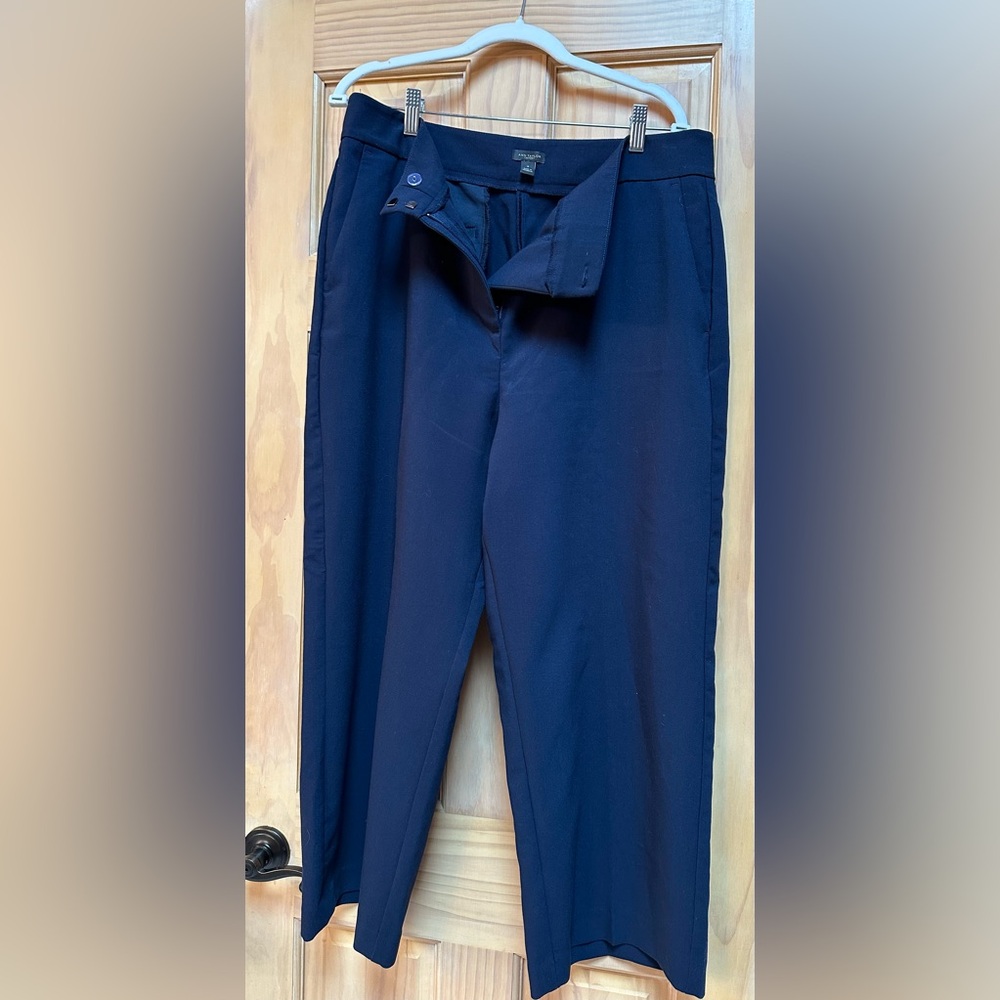 Ann Taylor wide legged pants